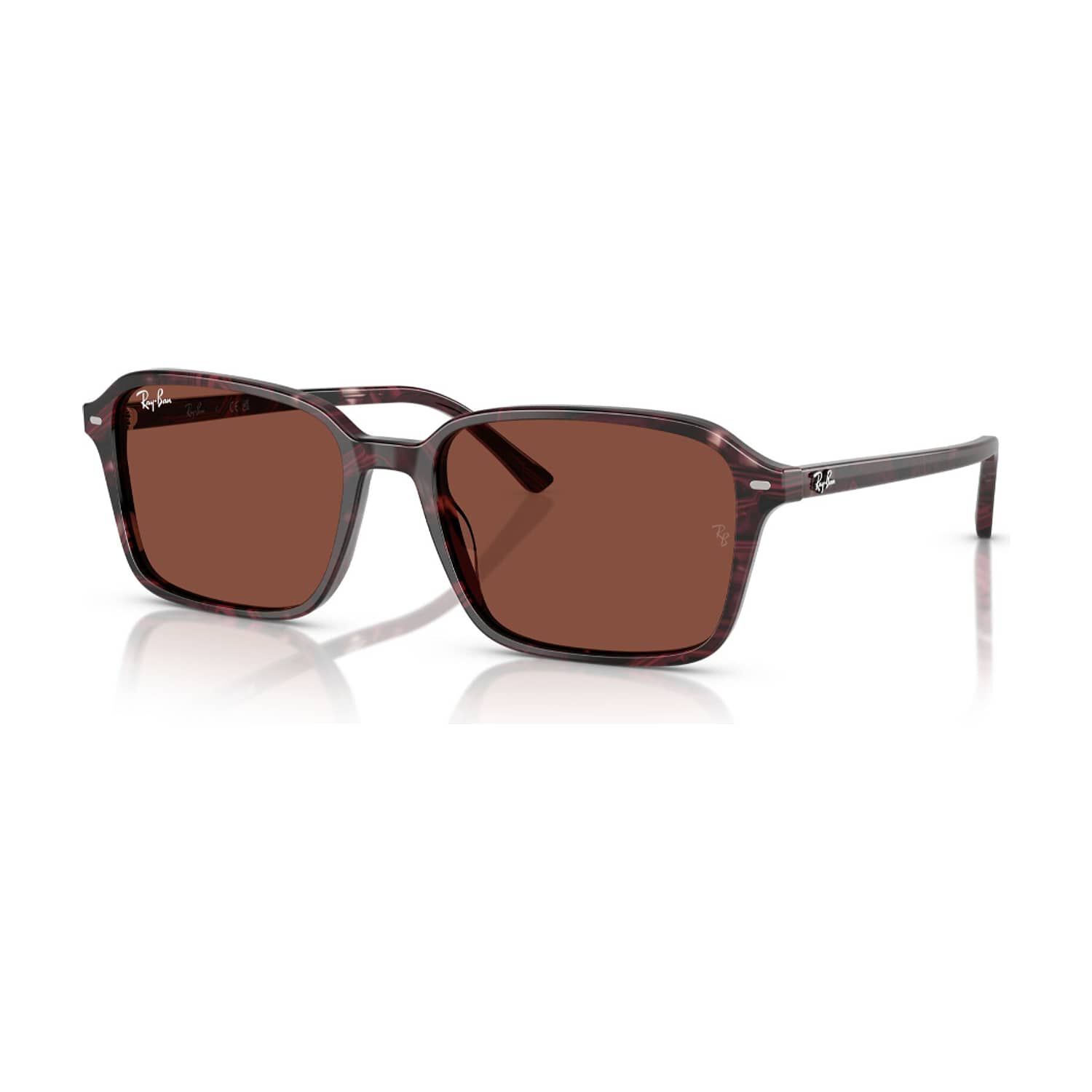 Lentes De Sol Raimond Morado Ray-ban image number 1.0
