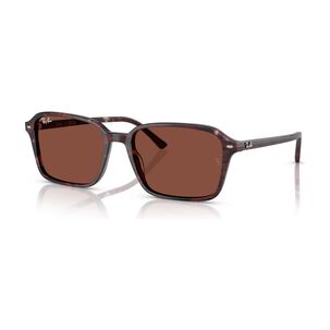 Lentes De Sol Raimond Morado Ray-ban