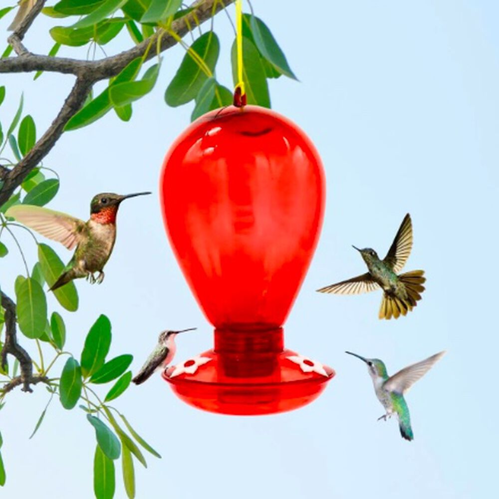 Bebedero Colibrí Picaflor Rojo 1l Aves image number 4.0