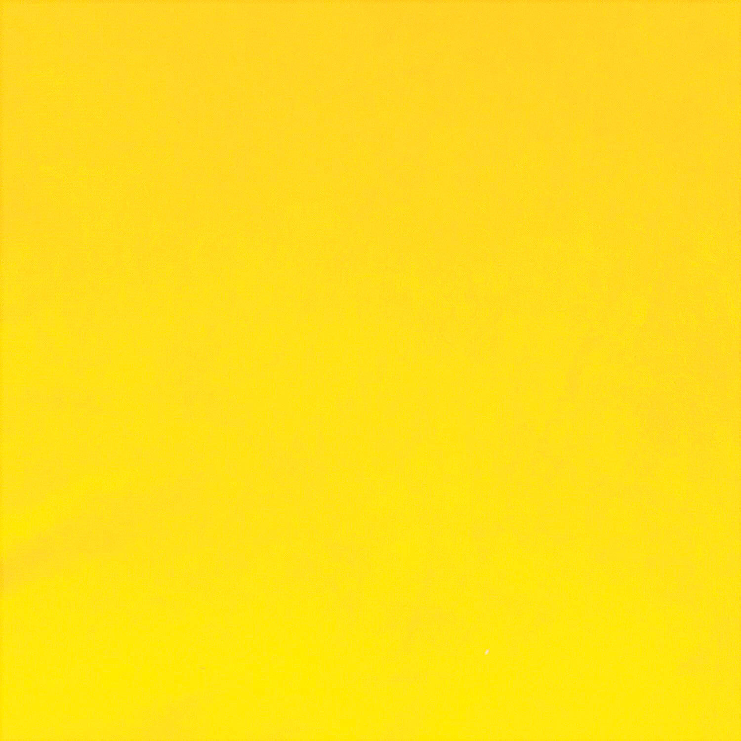 Cojin Felpa New Velvet 30x60 Amarillo image number 1.0