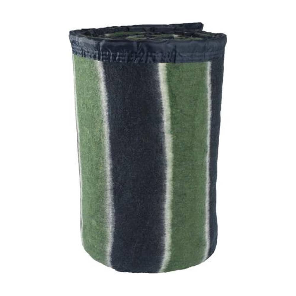 Frazada Andes Listada 1.5 Plaza Azul Verde image number 0.0