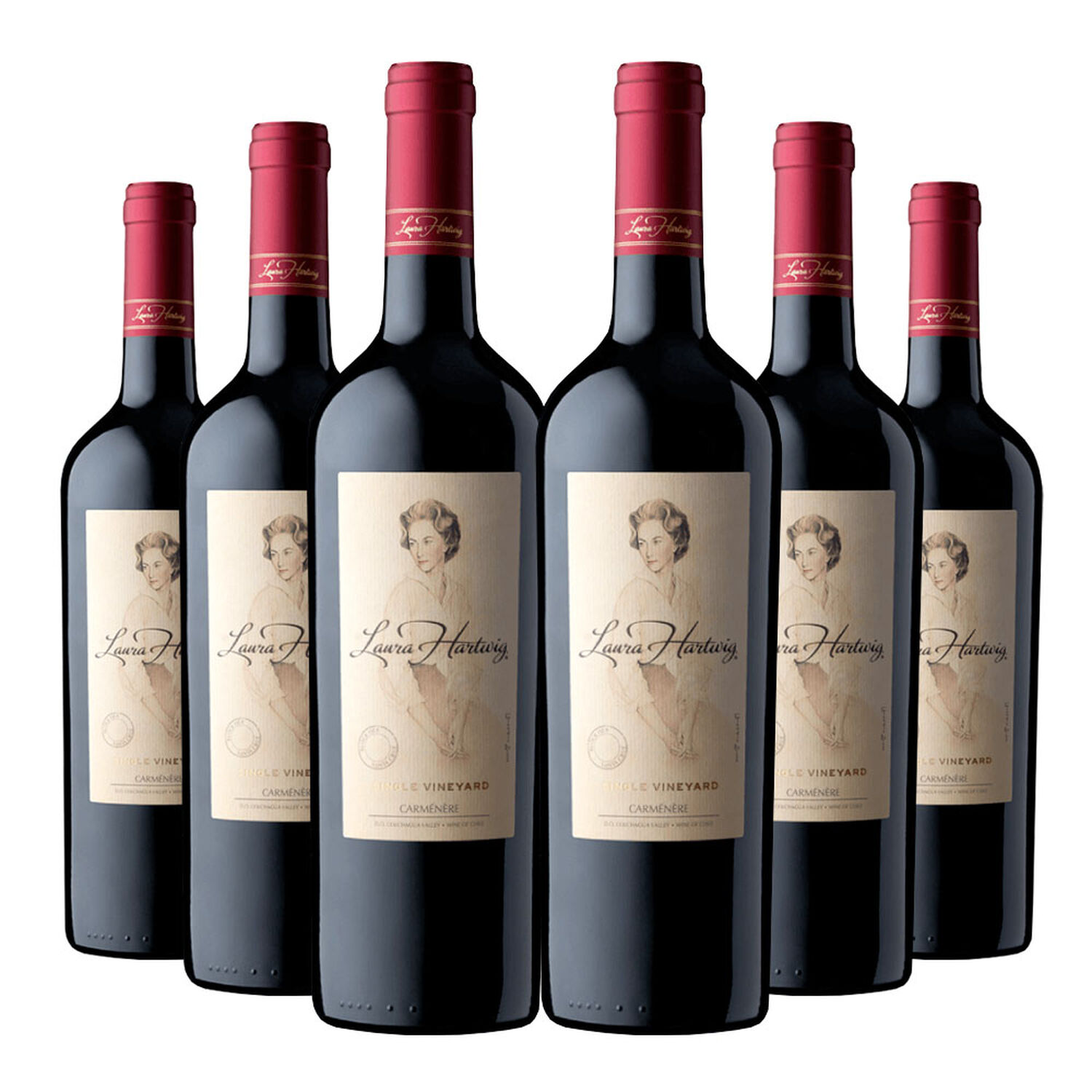 6 Vinos Laura Hartwig Single Vineyard Carmenere image number 0.0