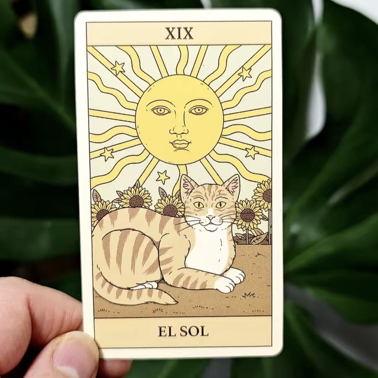 Tarot De Los Gatos 78 Cartas En Espanol image number 4.0