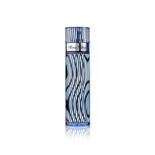 Paris Hilton Men Edt 100ml