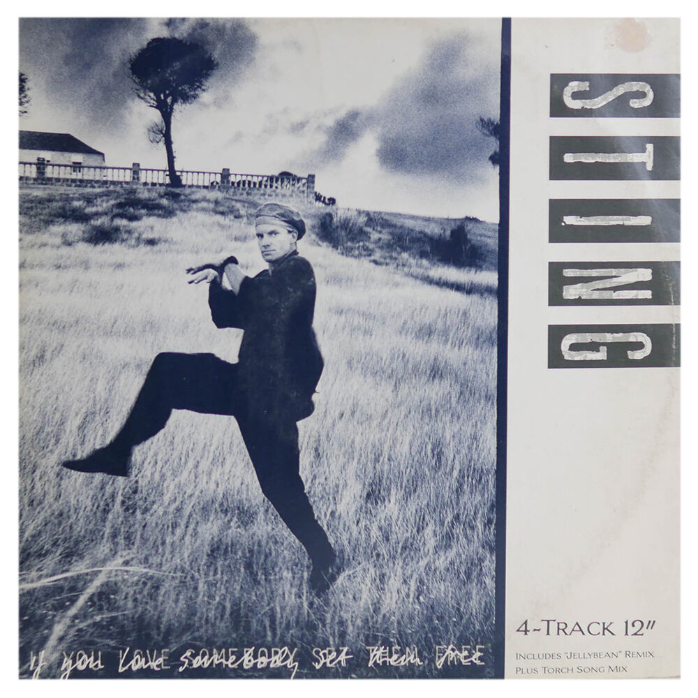 Sting - If You Love Somebody Set Them Free | 12" Maxi Single Usado image number 0.0