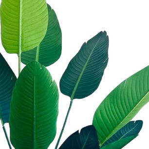 Planta Artificial Ave Del Paraiso 160 Cm. / 10 Hojas