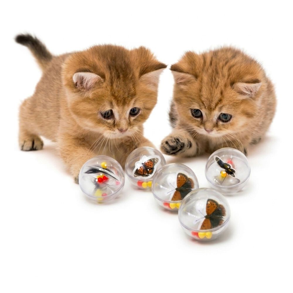 Juguete Para Gato Pack De 6 Pelotas Con Insectos image number 0.0
