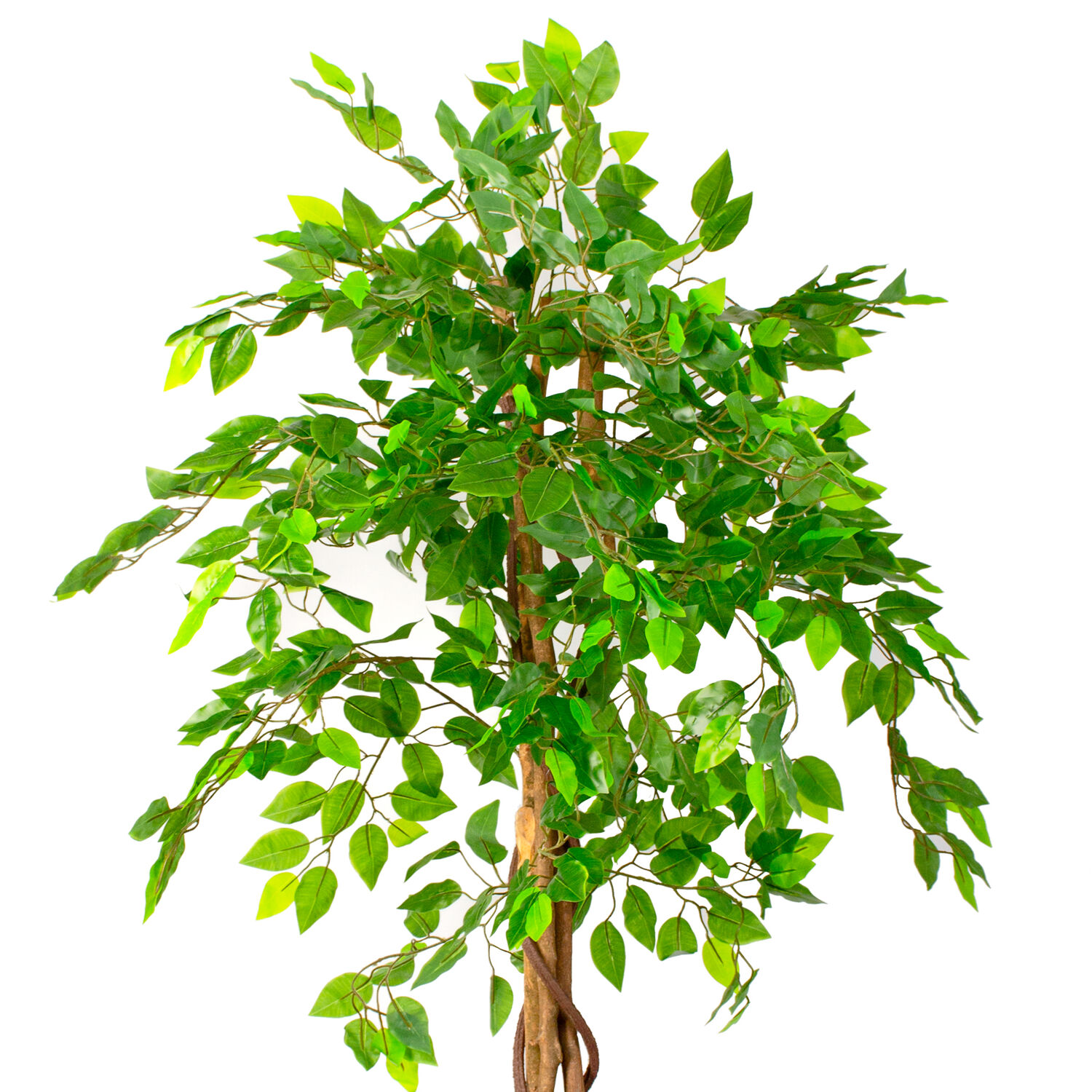 Planta Artificial Ficus Premium 120 Cm. 630 Hjs / Arbusto Real image number 3.0