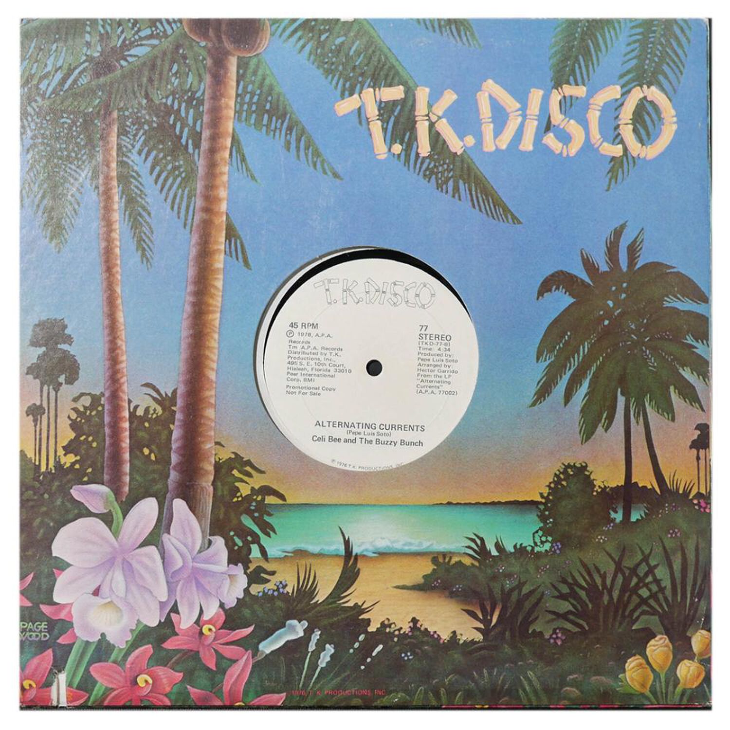 Celi Bee And The Buzzy Bunch - Macho (a Real, Real, One) | 12" Maxi Single Usado image number 0.0