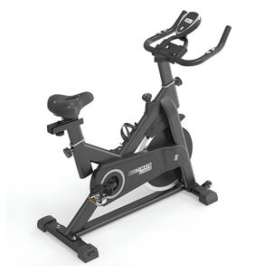 Bicicleta Spinning Z420 Pro 2.0