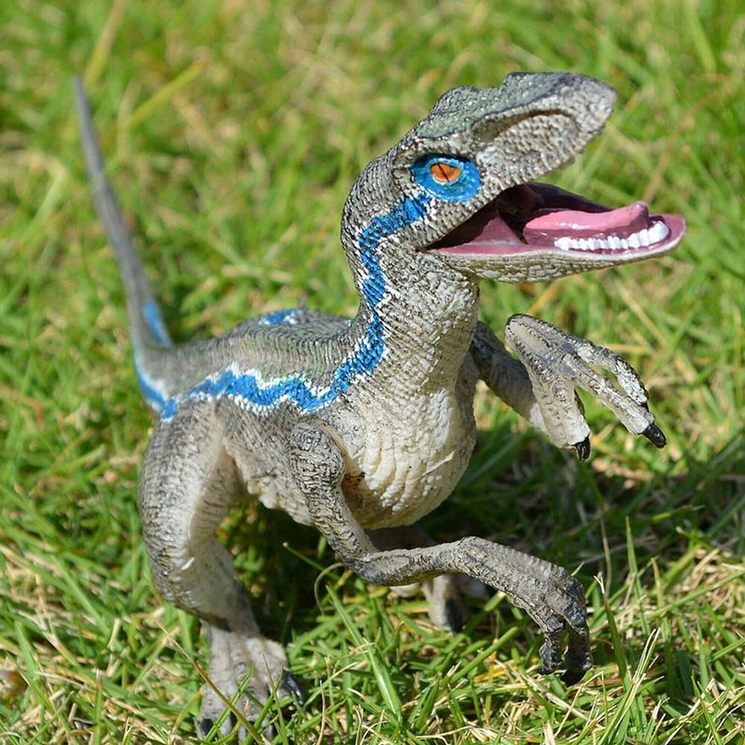 Juguete Dinosaurio Velociraptor Blue Para Ni&ntilde;os image number 2.0