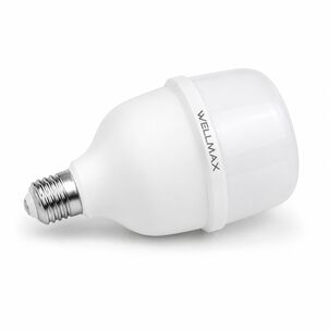 Ampolleta Led Wellmax 38w High Power Professional Line T115