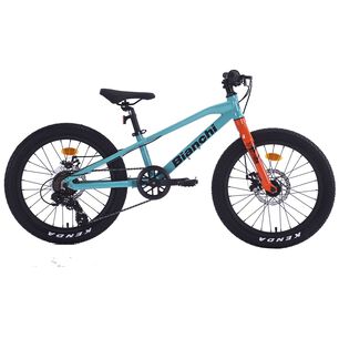 Bicicleta Infantil Bianchi Alloy 20 St / Aro 20