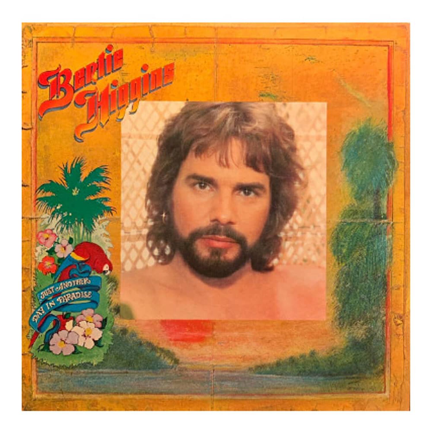 Bertie Higgins - Bertie Higgins | Vinilo Usado image number 0.0