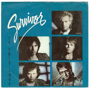 Survivor - Is This Love | 7" Single Usado