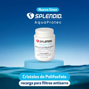 Pack Filtro De Agua Antisarro 250gr + Recarga 500gr Splendid