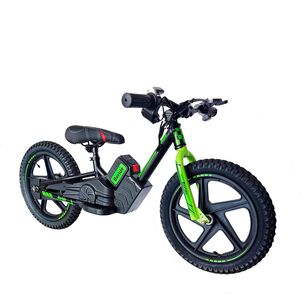 Bicicleta El&eacute;ctrica Beride Aro 12 Verde