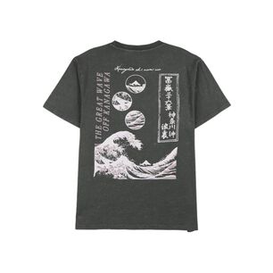 Polera Hombre Rolly Go