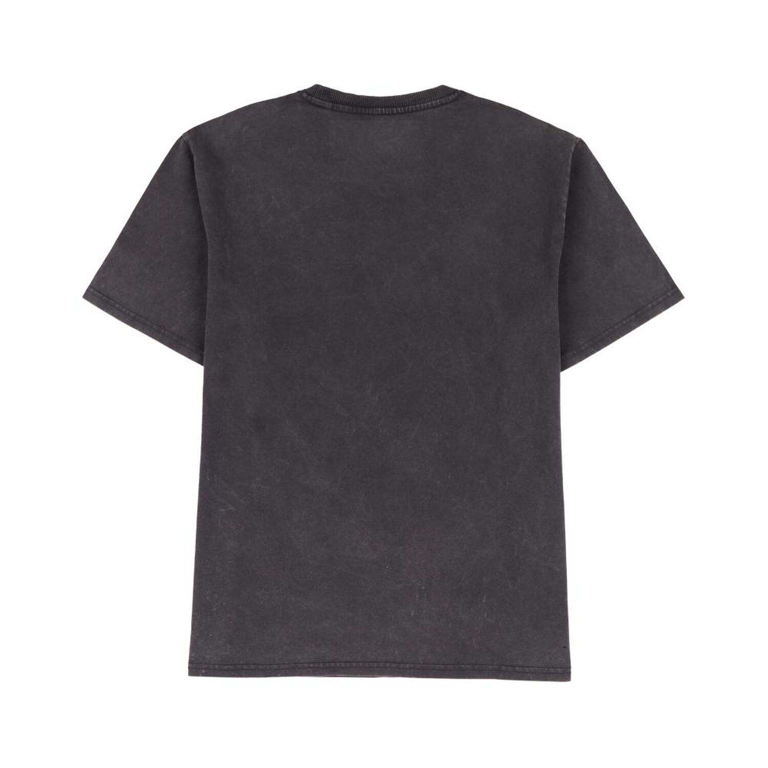 Polera Hombre Rolly Go image number 1.0