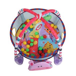 Gimnasio Tipo Corral Con Piscina De Pelotas Para Bebés