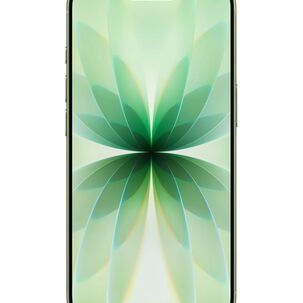 Iphone 17 256 Gb Verde (solo Compatible Con Esim)