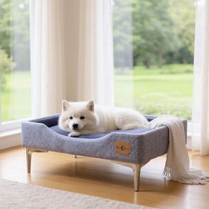 Cama De Mascotas - Talla M Extra (50x75 Cm) / Pata Cromada 15 Cm