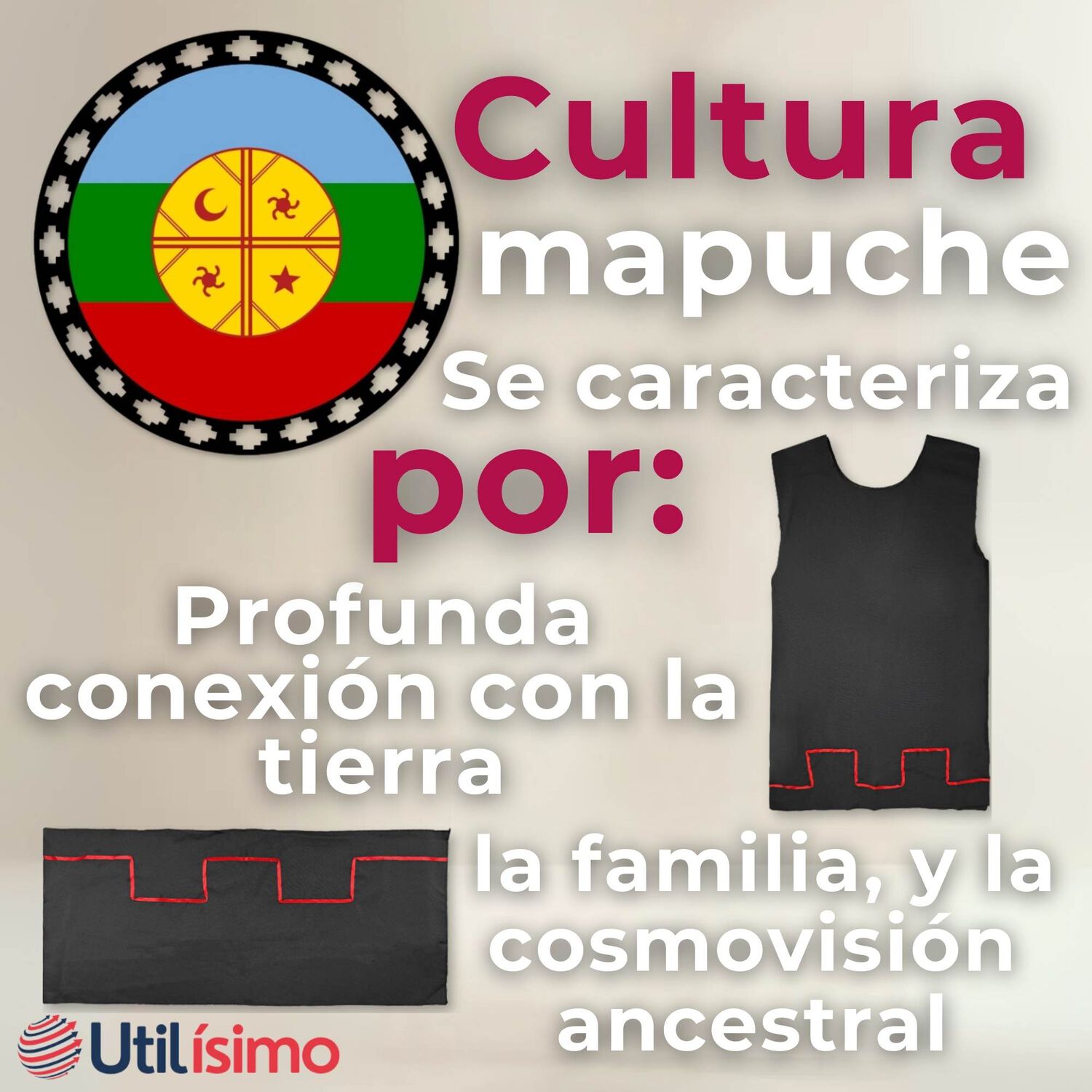 Traje Vestido Mapuche Ni&ntilde;a 4 A&ntilde;os Hasta Talla S Vestimenta T&iacute;pica image number 5.0