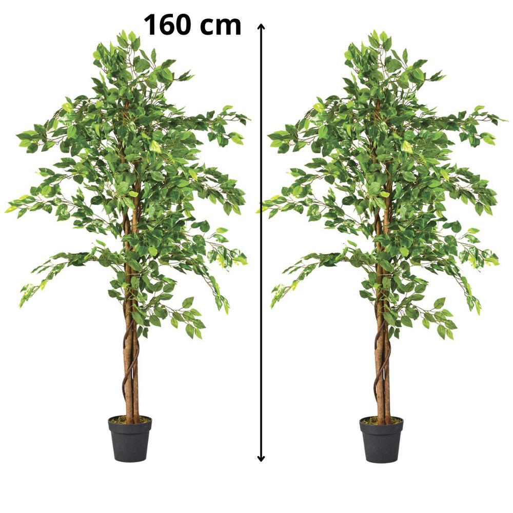 2 X 1 Plantas Artificiales Premium Ficus 160 Cm image number 0.0