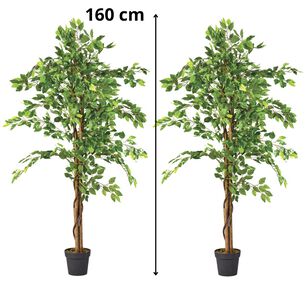 2 X 1 Plantas Artificiales Premium Ficus 160 Cm