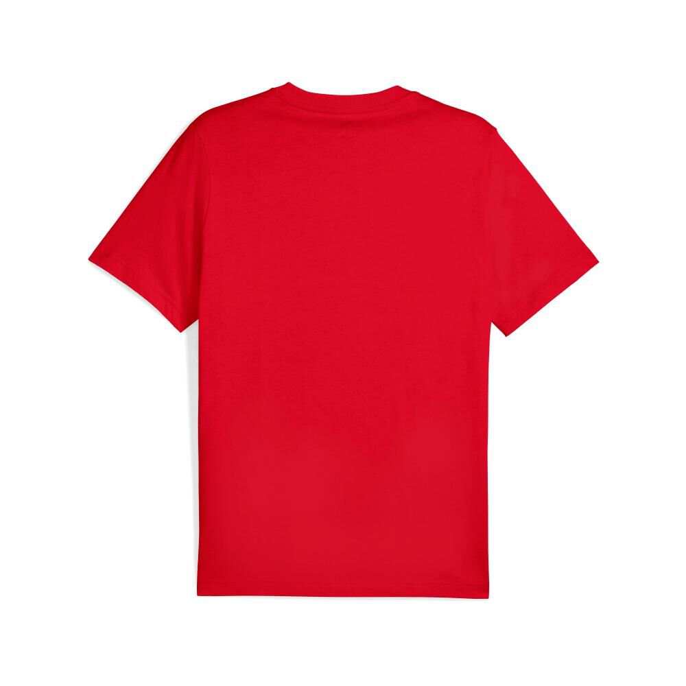 Polera Deportiva Hombre Puma Graphic Sneaker Tee image number 1.0