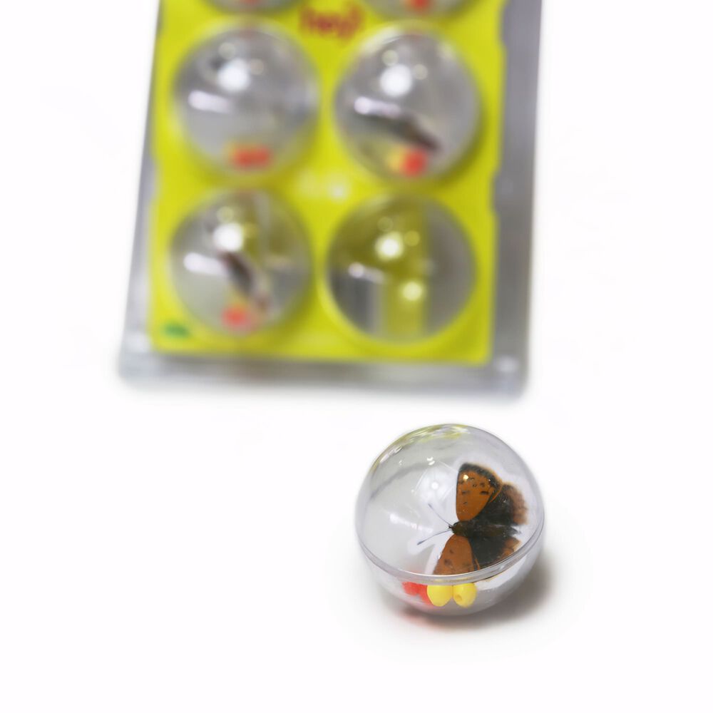 Juguete Para Gato Pack De 6 Pelotas Con Insectos image number 2.0