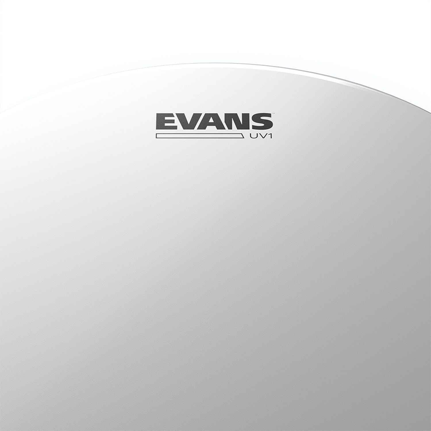 Parche 12&uml; Uv1 Ctd Evans image number 1.0