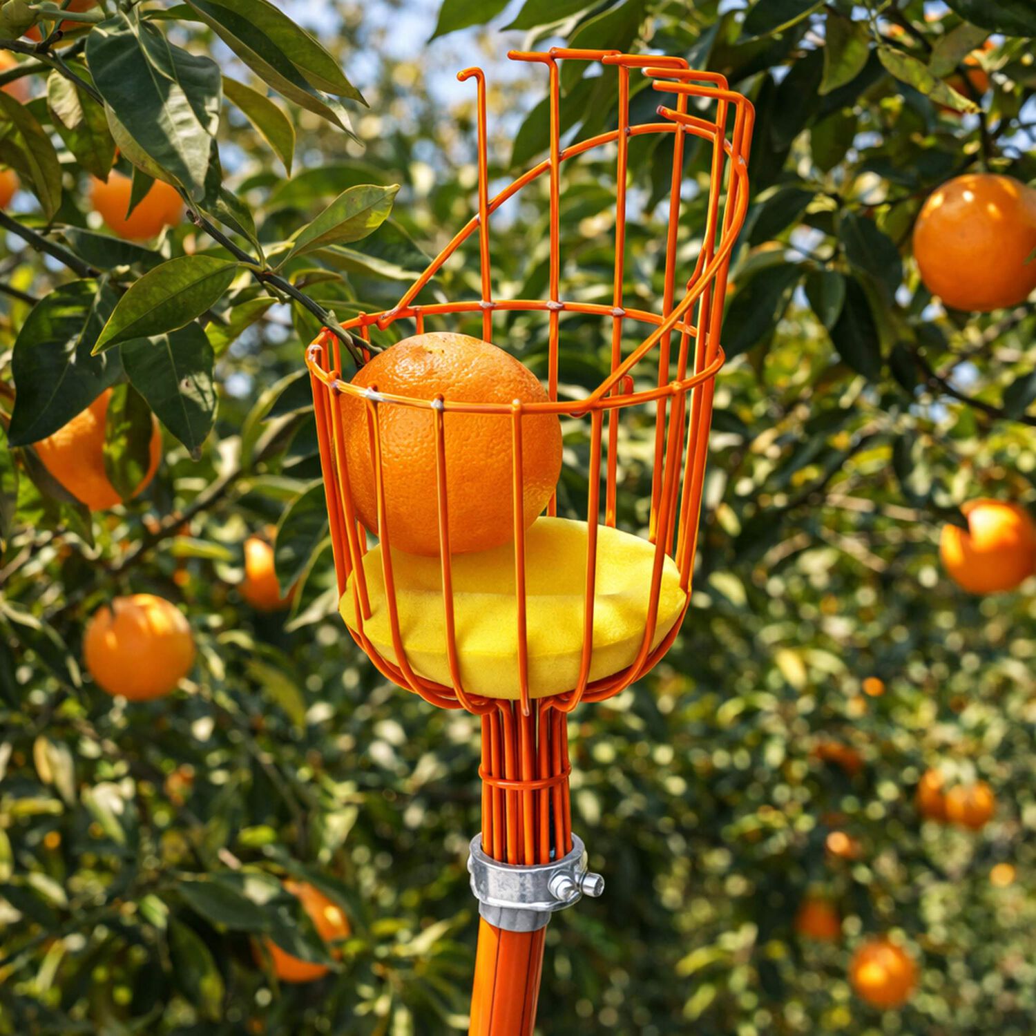 Recolector De Frutas Truper Con Cojin Frut image number 1.0