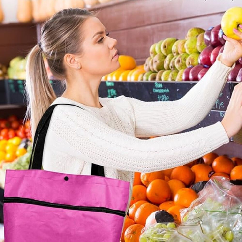 Carrito De Compras Bolsa Con Ruedas Multiusos Plegable image number 2.0