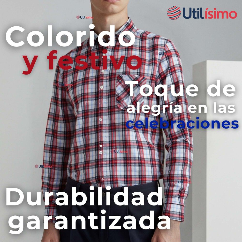 Camisa Huaso Cuadrillé Cuadro Manga Larga 100% Algodón Azul Blanco Casual image number 6.0