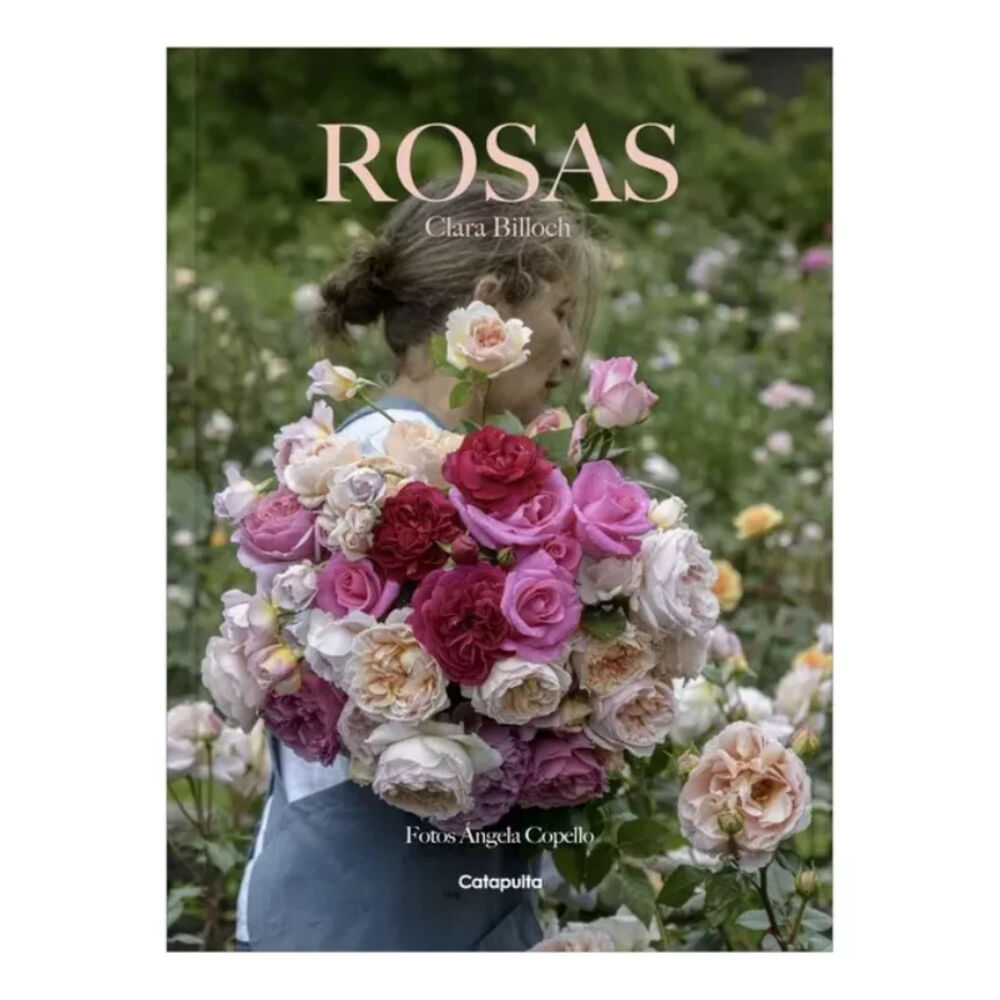 Clara Billoch - Rosas image number 0.0