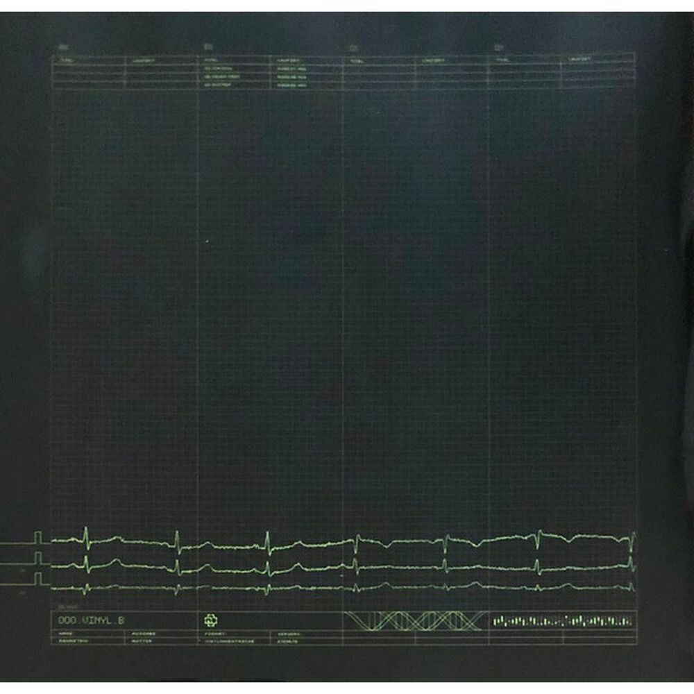 Rammstein - Mutter (2lp) | Vinilo image number 9.0
