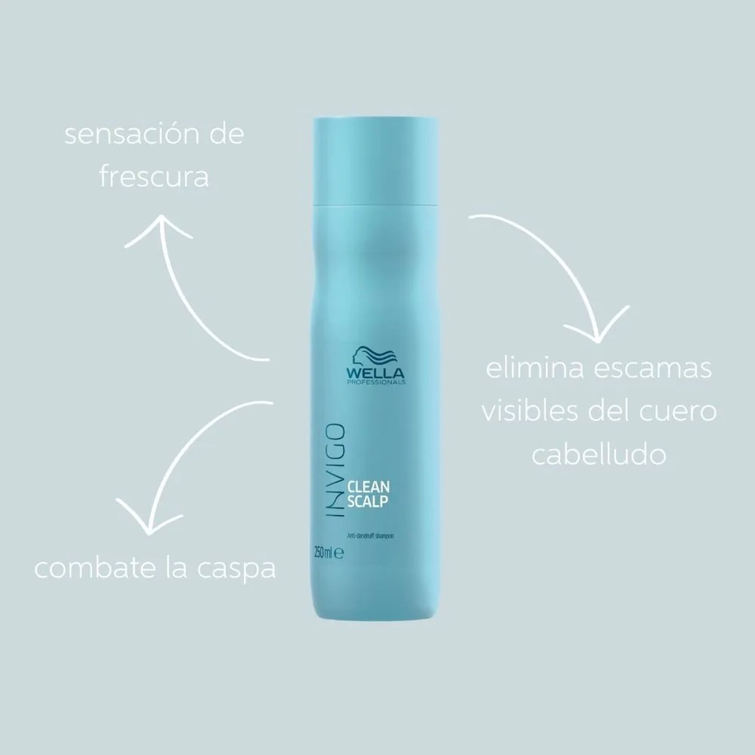 Shampoo Invigo Clean Scalp Wella 250ml Anticaspa image number 1.0