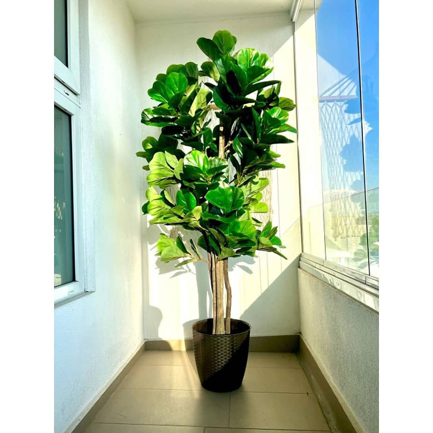 Planta Artificial Ficus Premium Lyrata 180 Cm. / 232 Hojas image number 3.0
