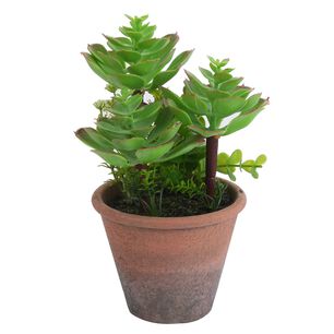 Planta Artificial Suculenta 20 Cm