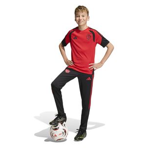 Camiseta De Entrenamiento Tiro 26 Competition De Colo-colo Para Ni&ntilde;os