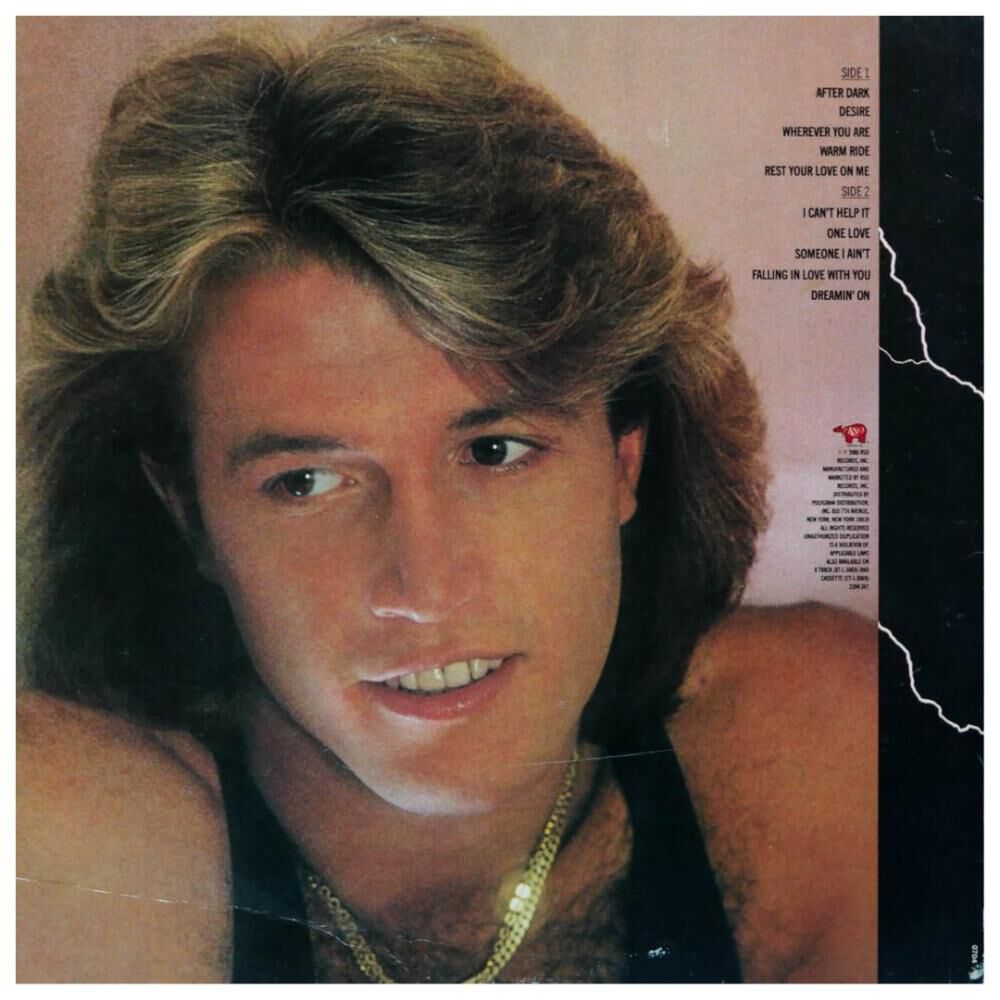 Andy Gibb - After Dark | Vinilo Usado image number 1.0