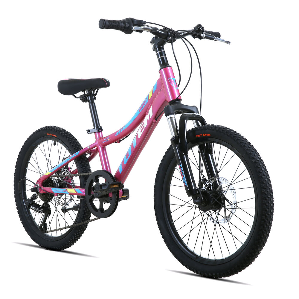 Bicicleta Totem Mtb Aro 20 Modelo 1100 Rosado image number 1.0