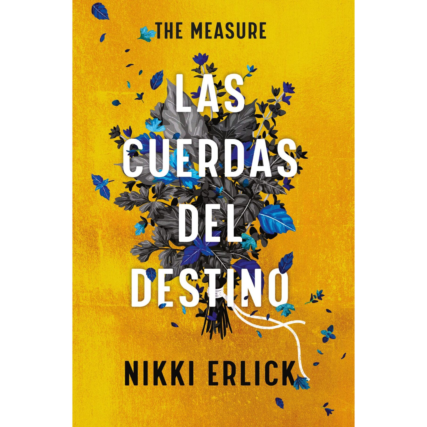 The Measure: Las Cuerdas Del Destino image number 0.0