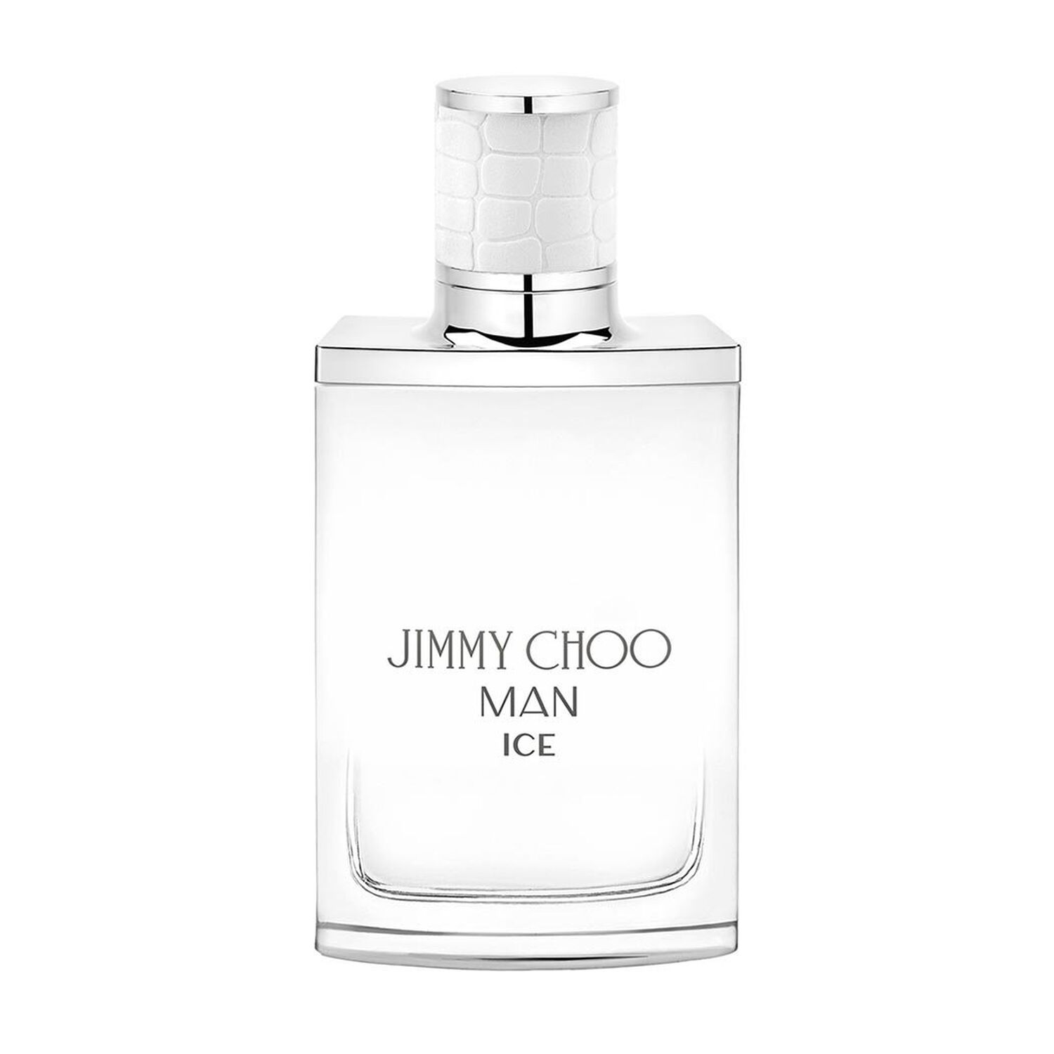 Jimmy Choo Jimmy Choo Man Ice 100ml Edt image number 0.0