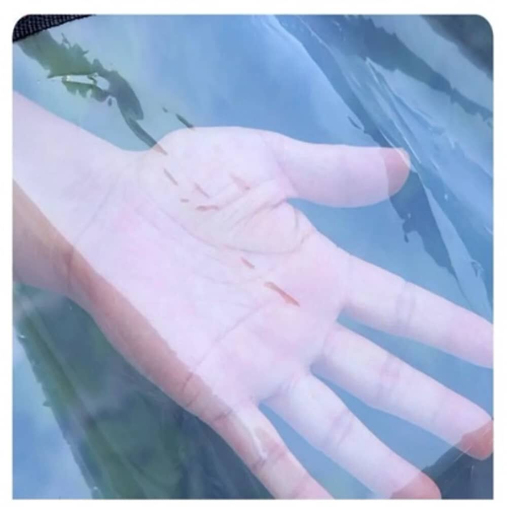 Cobertor Impermeable Transparente 3 X 5 Con Ojetillos image number 2.0