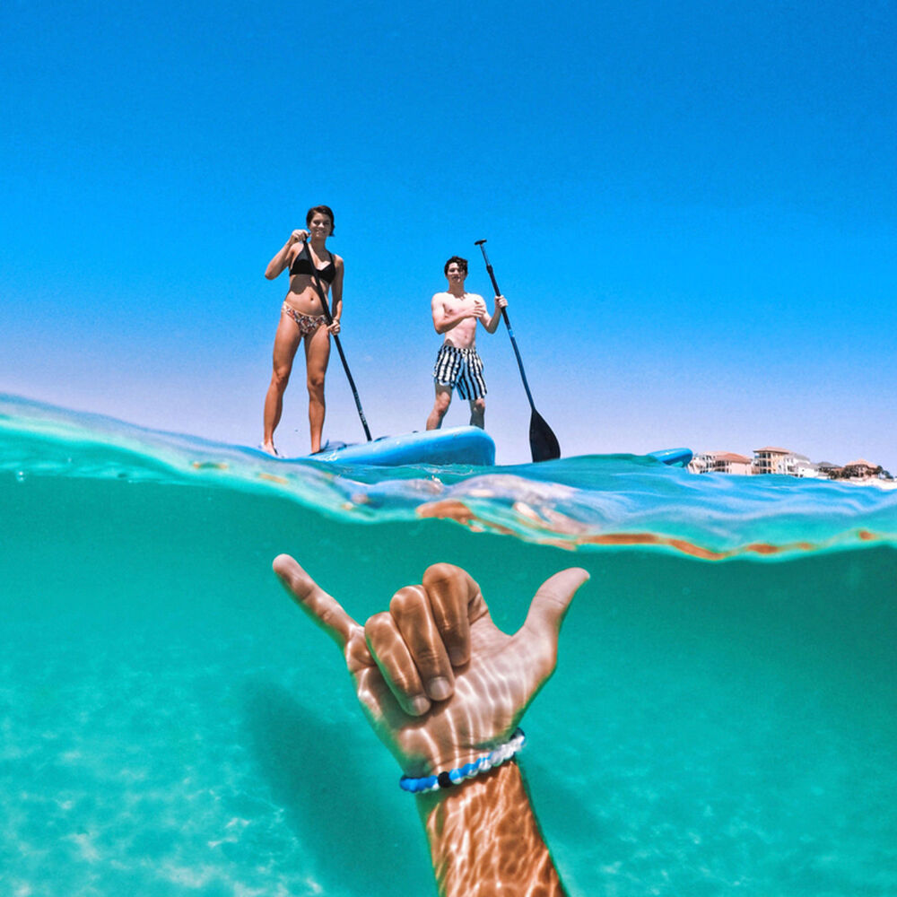 Domo Acu&aacute;tico Gopole Dome image number 7.0