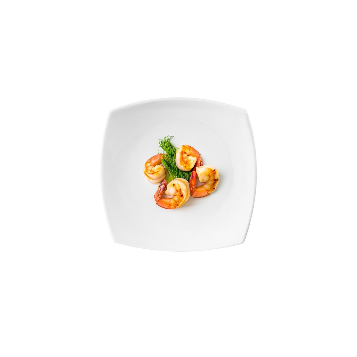 Set De 4 Plato Principal Porcelana Cuadrado 27 Cm image number 4.0