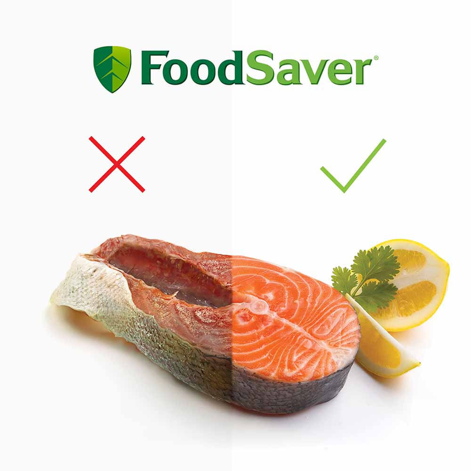 Foodsaver Sellador Al Vac&iacute;o Ffs017x01 Acero Inoxidable image number 7.0