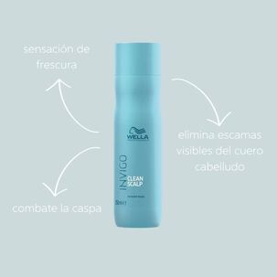 Shampoo Invigo Clean Scalp Wella 250ml Anticaspa